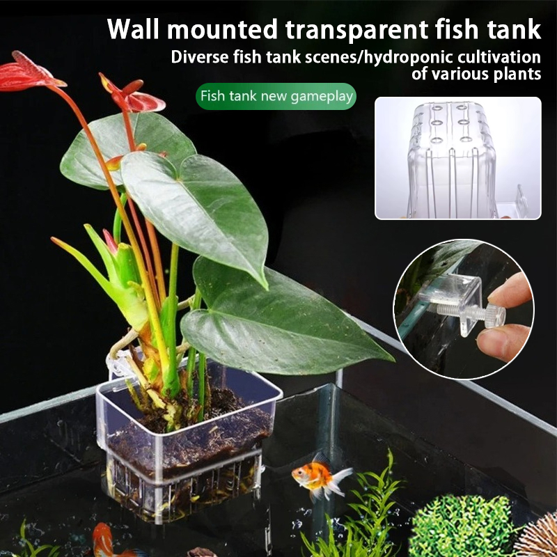 Aquarium Plant Growth - Aquarium Hanging Planter Cups Wall Mounted