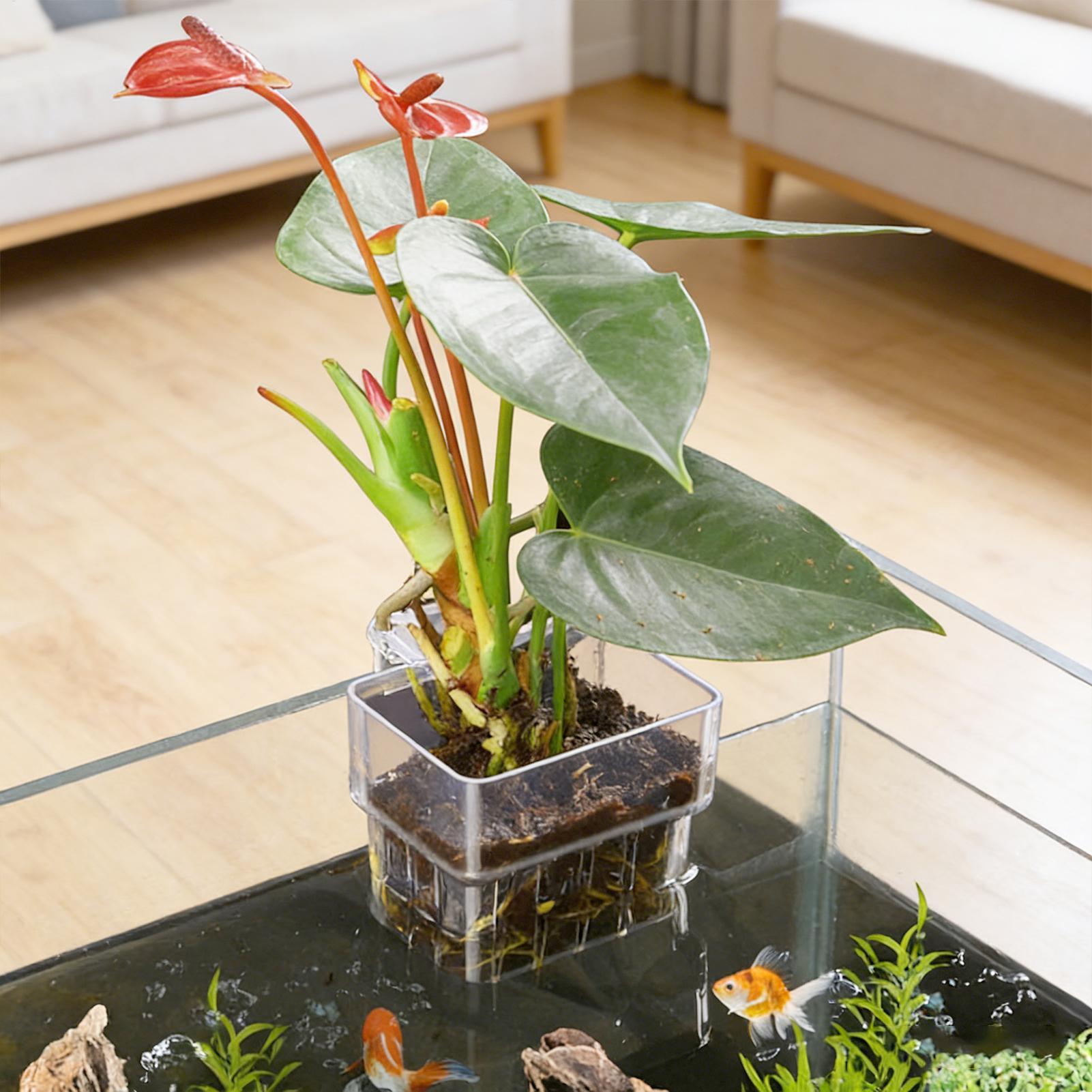 Aquarium Plant Growth - Aquarium Plant Basket Transparent Fish Tank