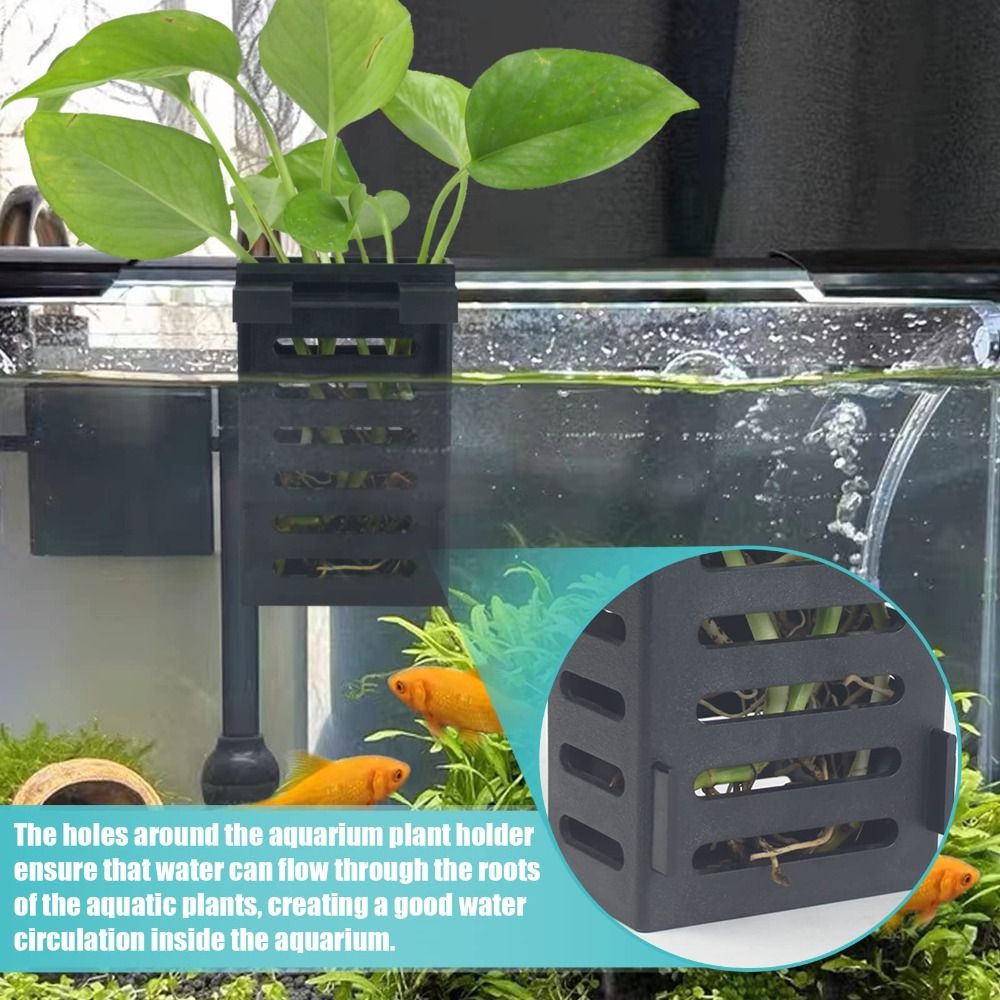 Emersed Plants Aquarium - Water Plant Landscape Aquarium Plant Holder
