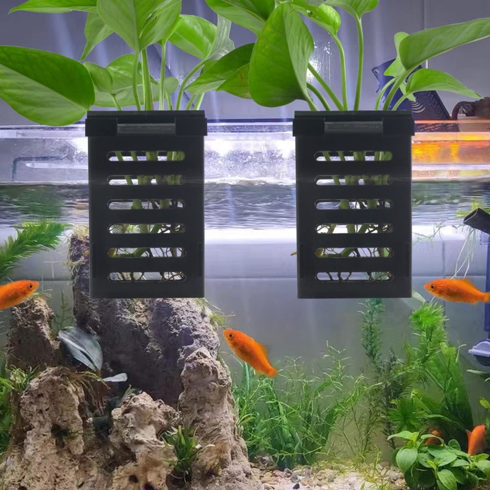 Water Plant Landscape Aquarium - огляд і ціна Emersed Plants Aquarium