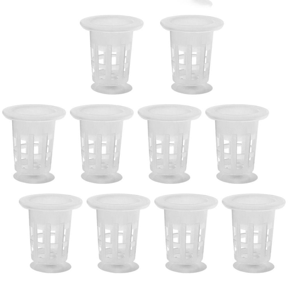 10Pcs Transparent Plant Hydrop - огляд і ціна Aquarium Plant Growth