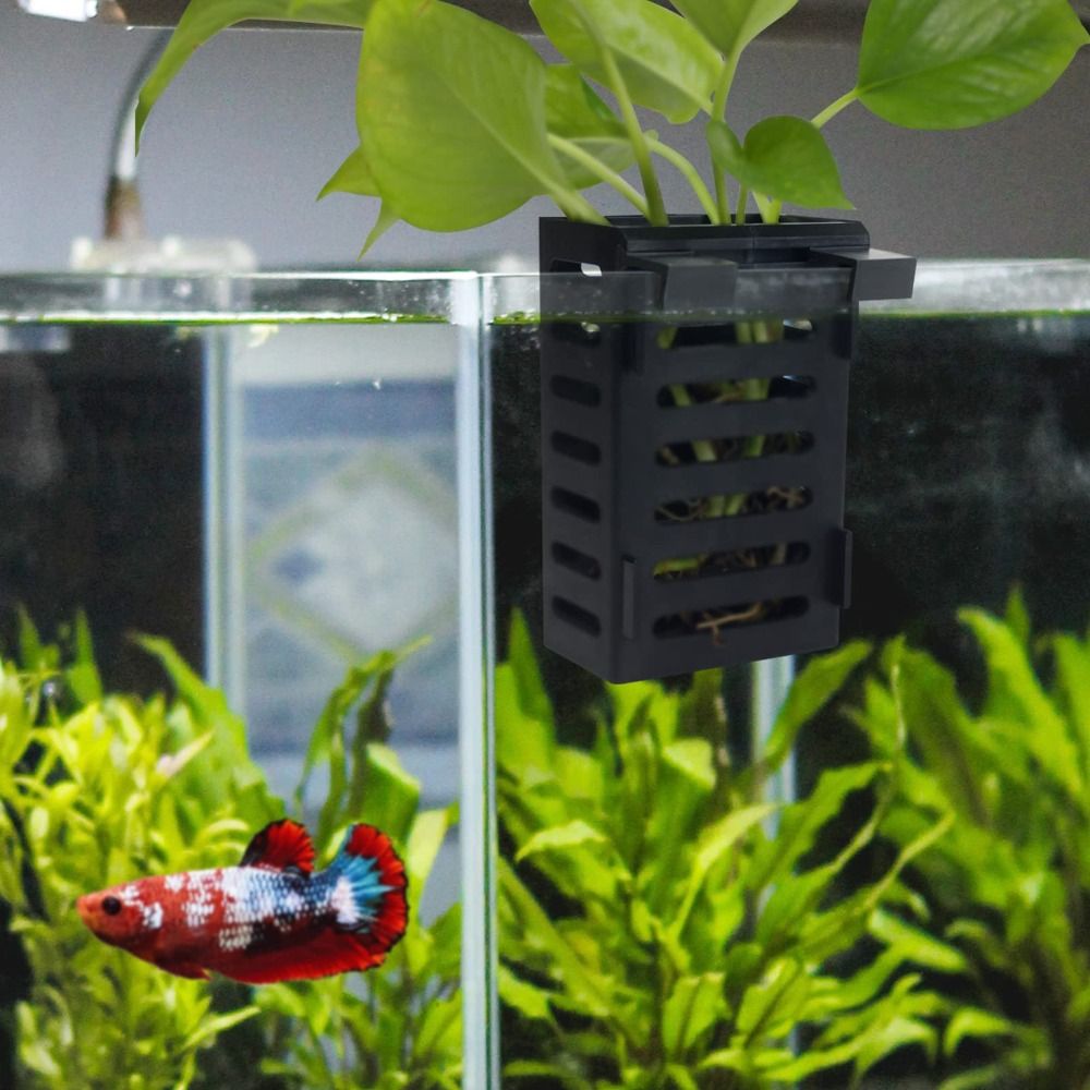 Water Plant Landscape Aquarium - огляд і ціна Emersed Plants Aquarium