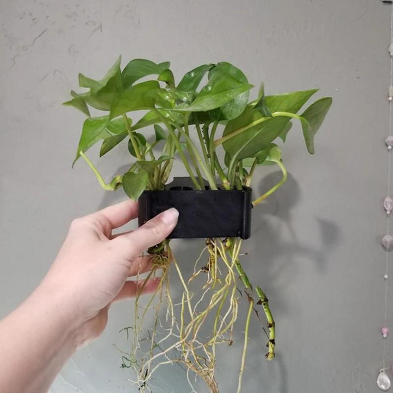 Hanging Aquarium Plant Holder  - огляд і ціна Emersed Plants Aquarium