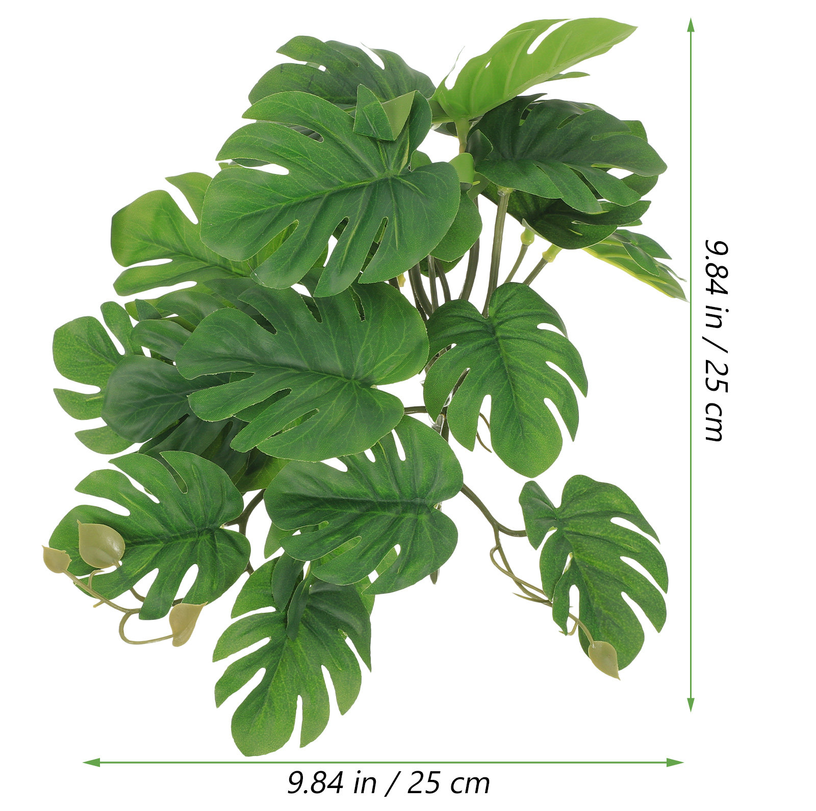 Safe Non Toxic Reptile Plants  - огляд і ціна Non Planted Aquarium Fish