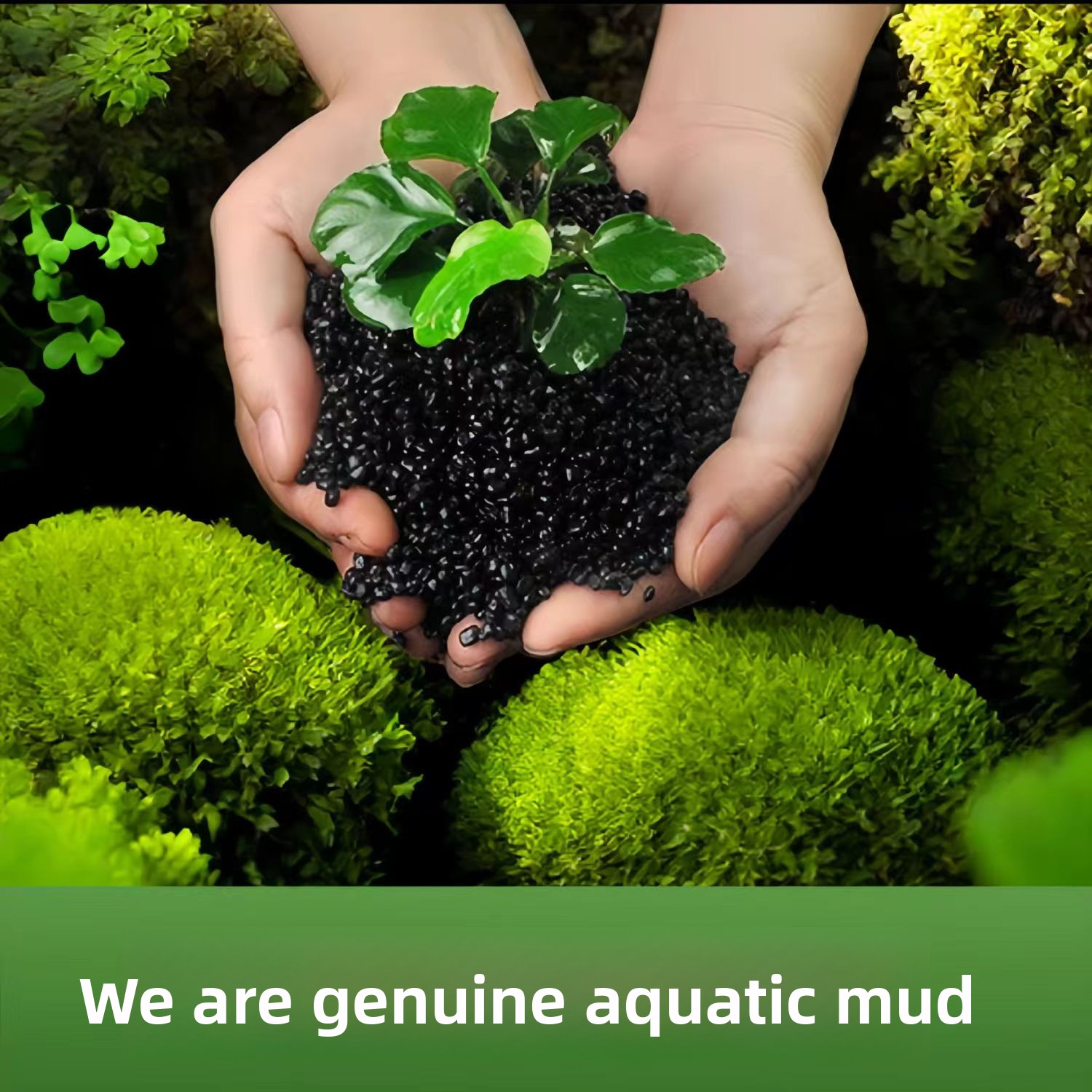 Non-Ceramic Aquatic Plant Mud  - огляд і ціна Non Planted Aquarium Fish