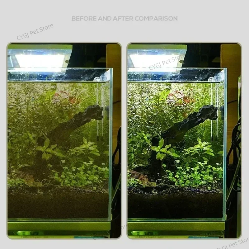 Fish Tank Cleaning Tool Flat S - огляд і ціна Planted Aquarium Kit