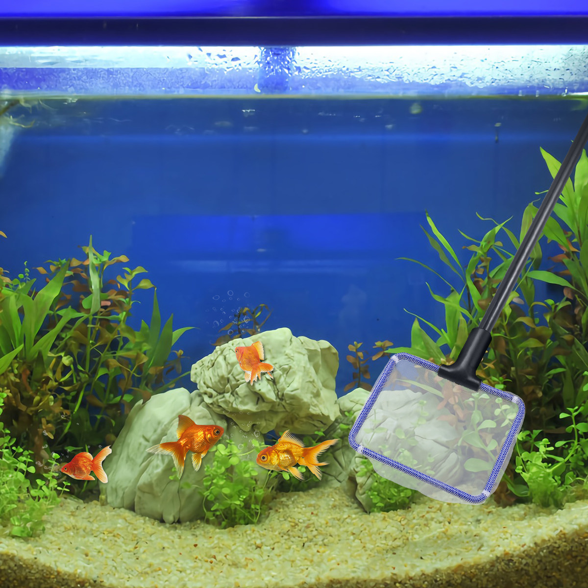 5 in 1 Fish Tank Cleaning Kit  - огляд і ціна Planted Aquarium Cleaning Kit