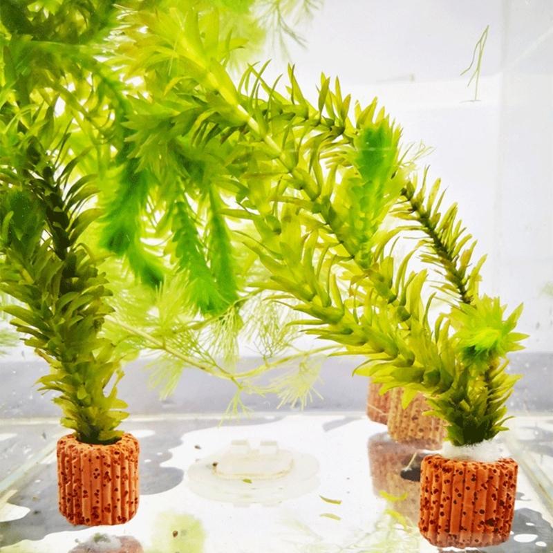 QX2E Paottery Aquariums Plant  - огляд і ціна Emersed Plants Aquarium