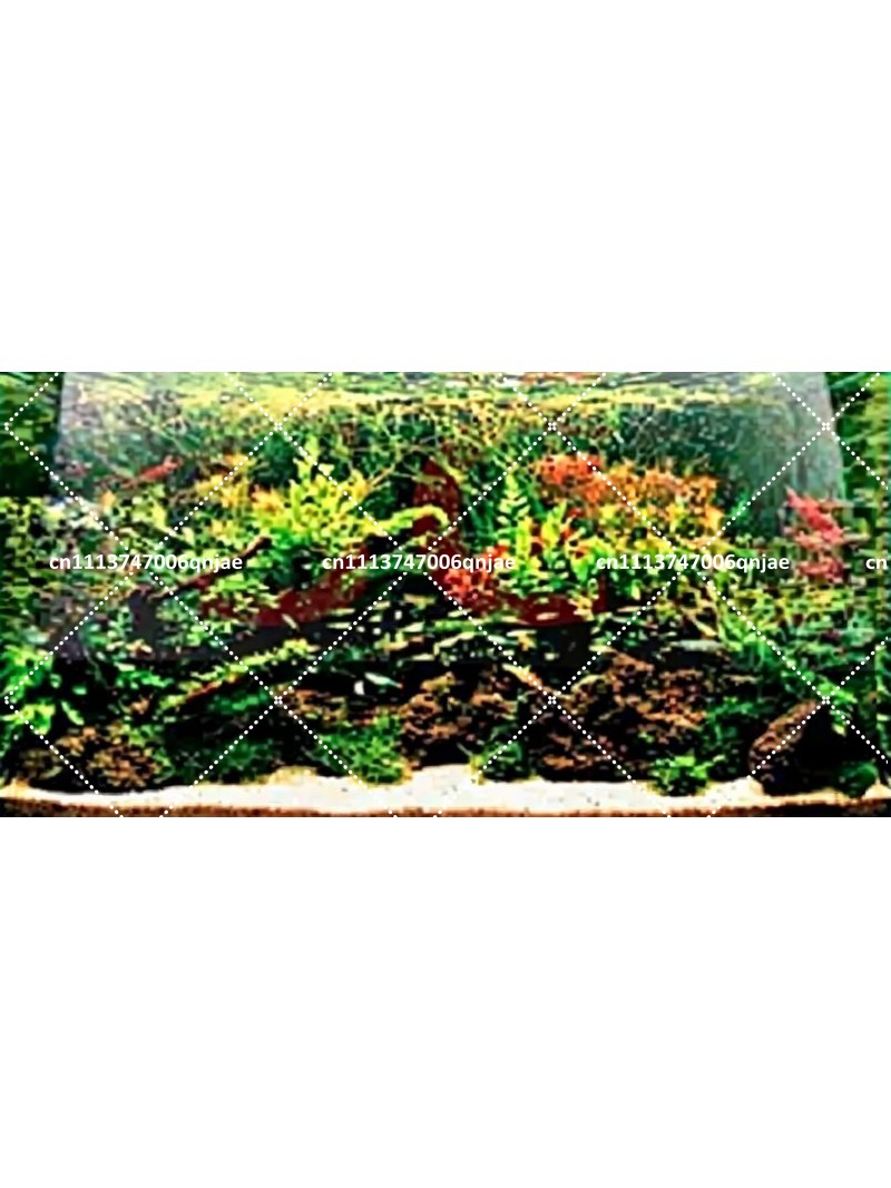 T5 HO Quad Marine Coral SPS Pl - огляд і ціна Non Planted Aquarium Fish