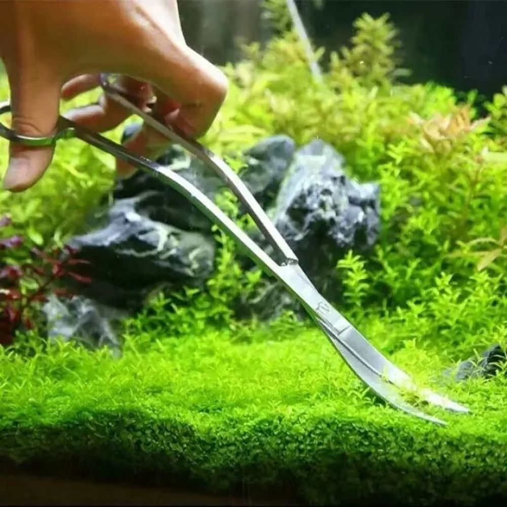 1Pcs Stainless Steel Aquarium  - огляд і ціна Planted Aquarium Kit