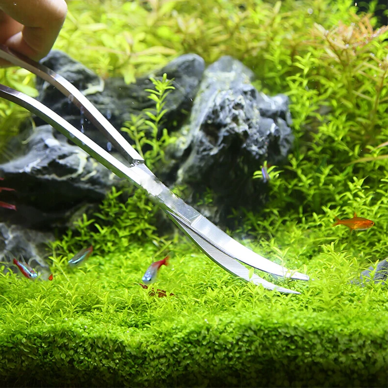 Aquarium Scissor Tools Fish Ta - огляд і ціна Planted Aquarium Kit