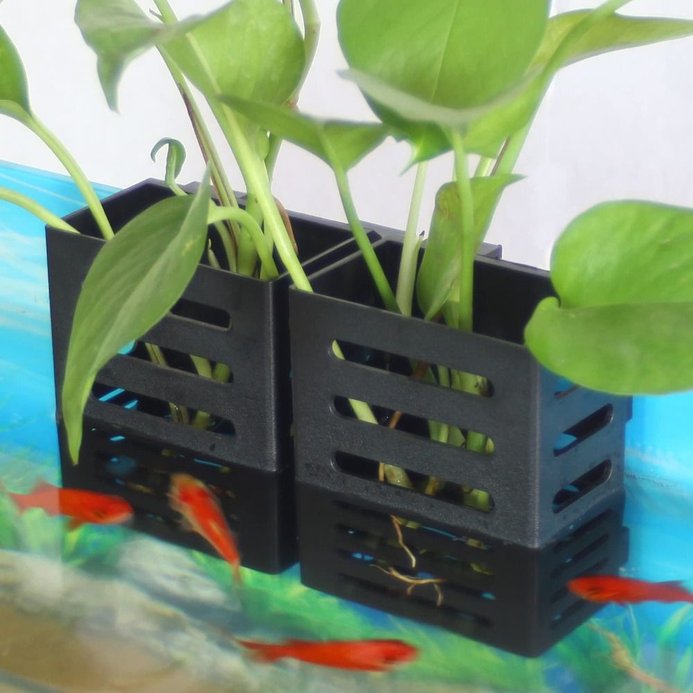 Water Plant Landscape Aquarium - огляд і ціна Emersed Plants Aquarium