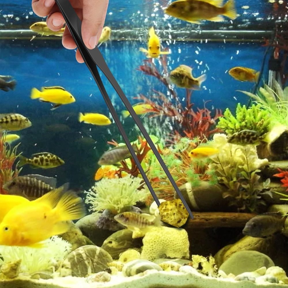 Stainless Steel Long Aquarium  - огляд і ціна Non Planted Aquarium Fish