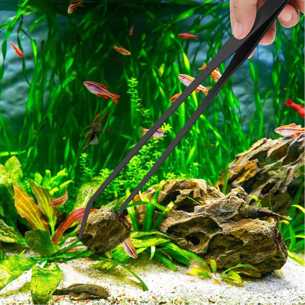 Stainless Steel Long Aquarium  - огляд і ціна Non Planted Aquarium Fish