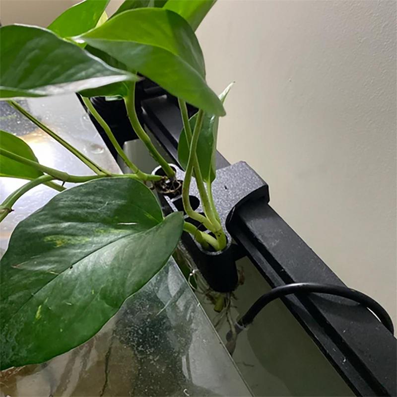 Hanging Aquarium Plant Holder  - огляд і ціна Emersed Plants Aquarium