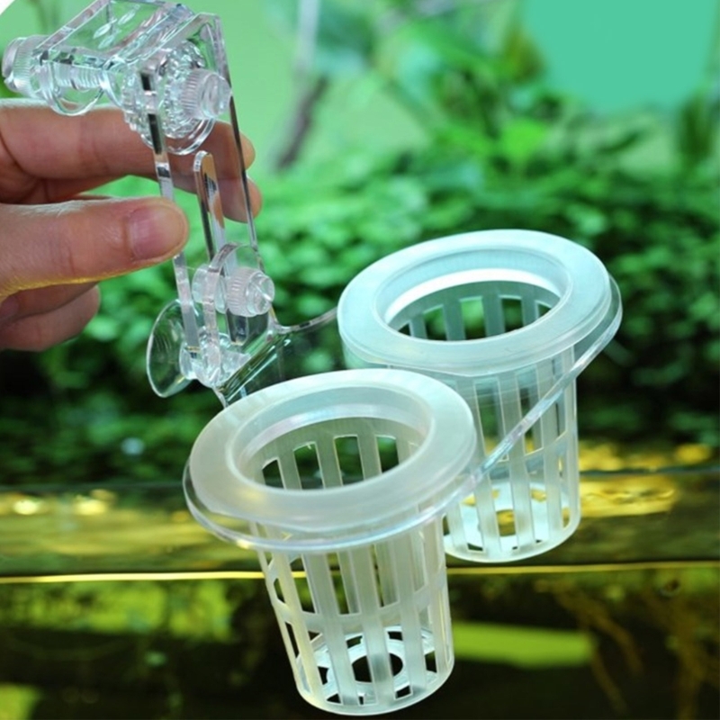 Aquariums Plant Stand Plant Cu - огляд і ціна Emersed Plants Aquarium
