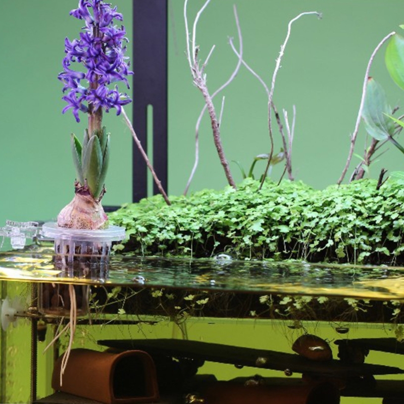 Aquariums Plant Stand Plant Cu - огляд і ціна Emersed Plants Aquarium