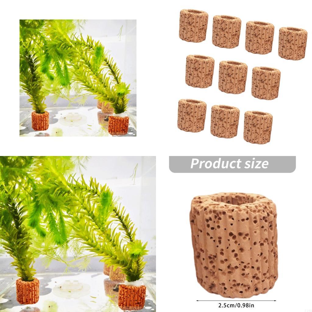F19B Paottery Aquariums Plant  - огляд і ціна Emersed Plants Aquarium