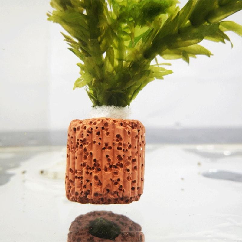 F19B Paottery Aquariums Plant  - огляд і ціна Emersed Plants Aquarium